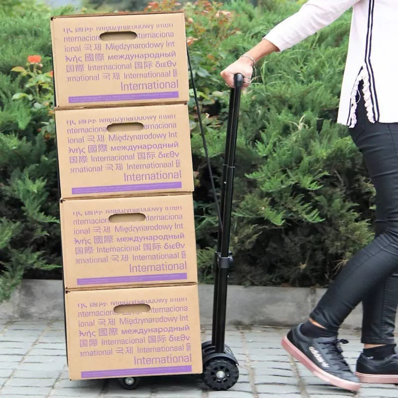 Carro De Carga Plegable 65 Kg