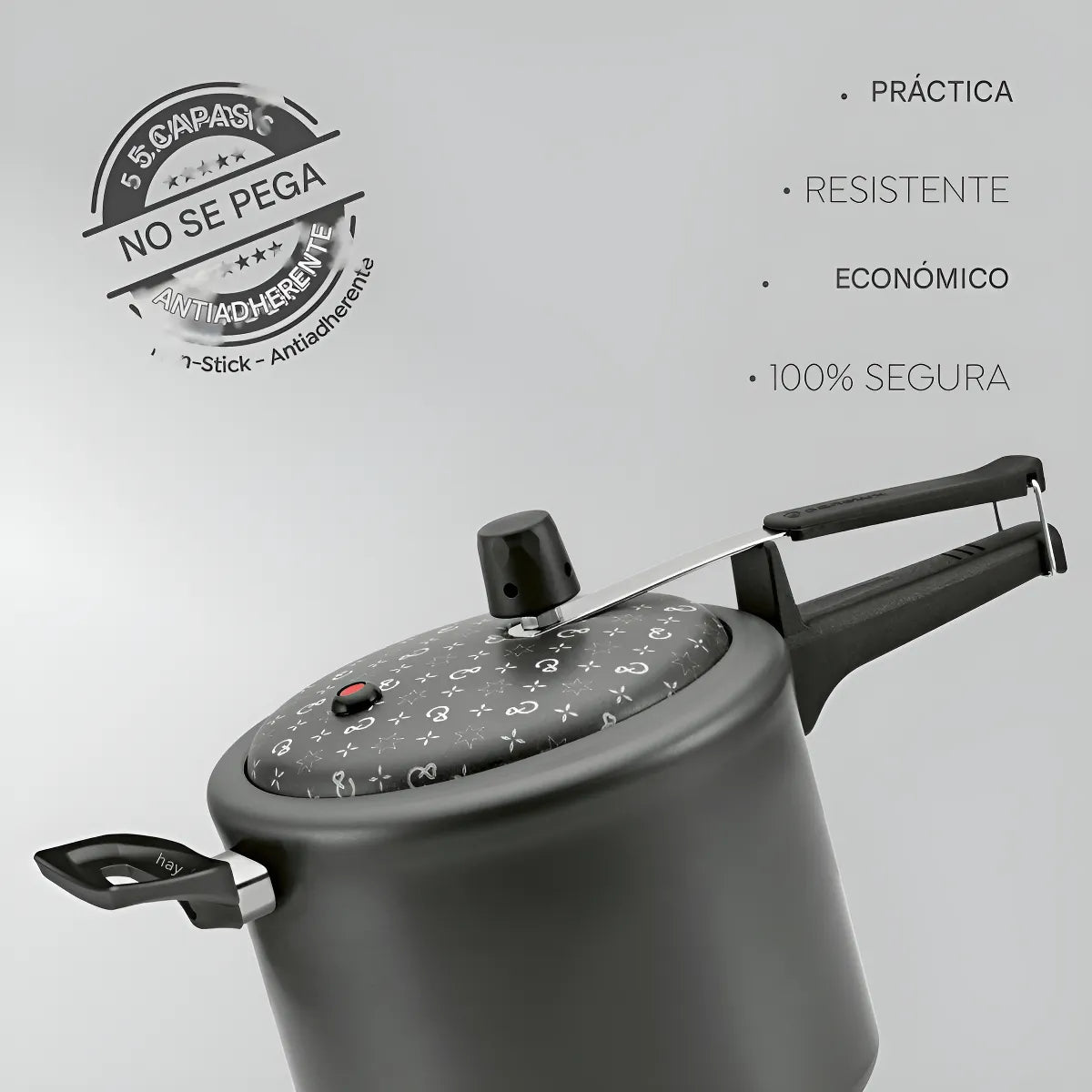 Olla A Presion Panelux 7 Litros Magnific Antiadherente Negro Negro