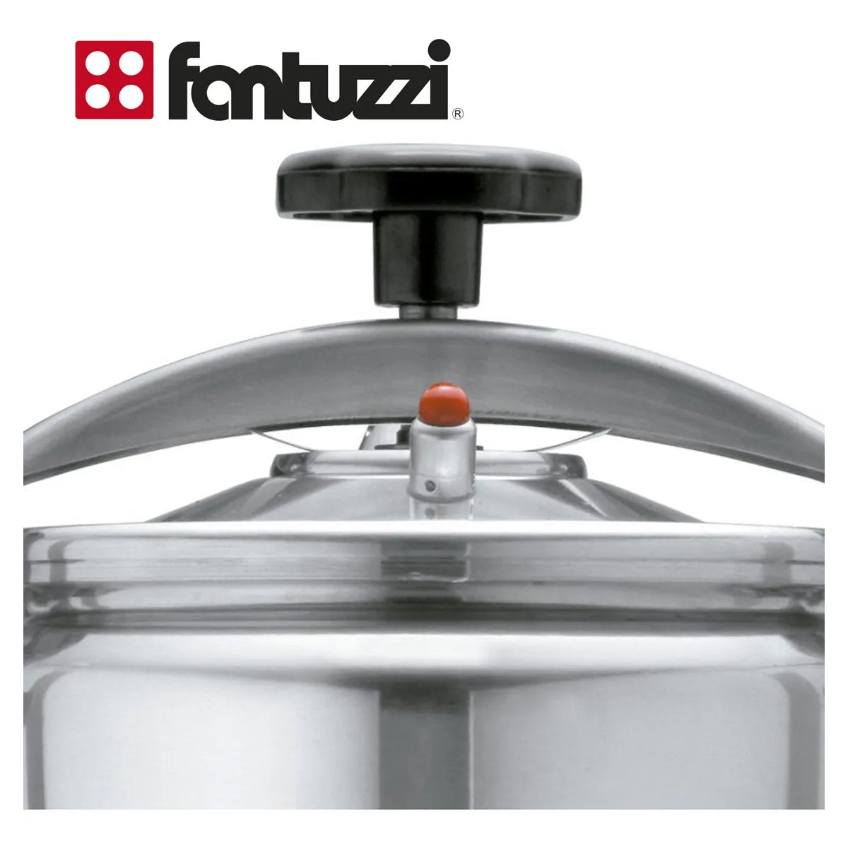 Olla A Presion 10 Litros Fantuzzi Comprezzo Aluminio Express