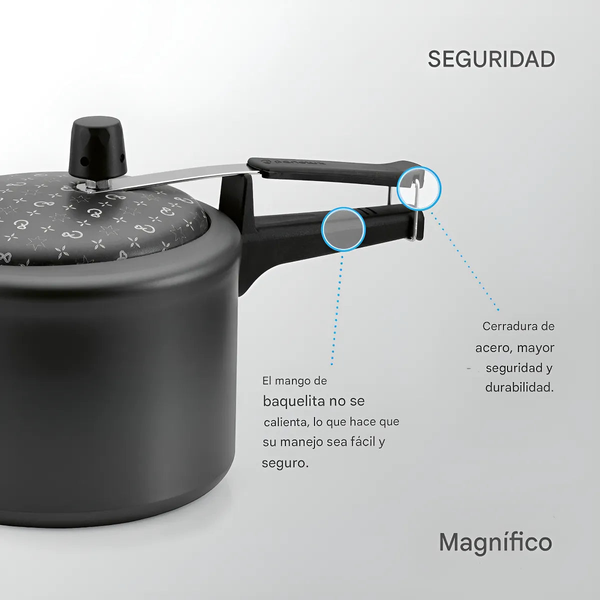 Olla A Presion Panelux 4.5 Litros Antiadherente Grafito Negro