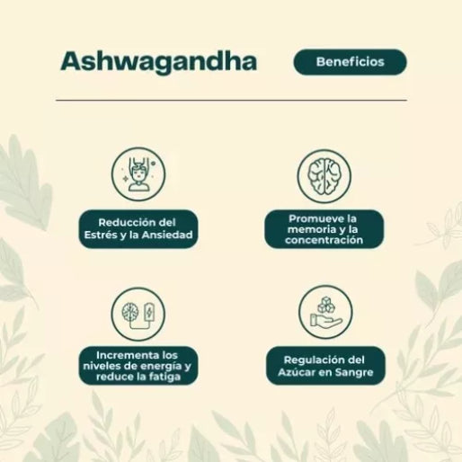 Ashwagandha 60 Capsulas 640 Mg Antiestres Ansiedad