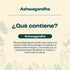 Ashwagandha 60 Capsulas 640 Mg Antiestres Ansiedad